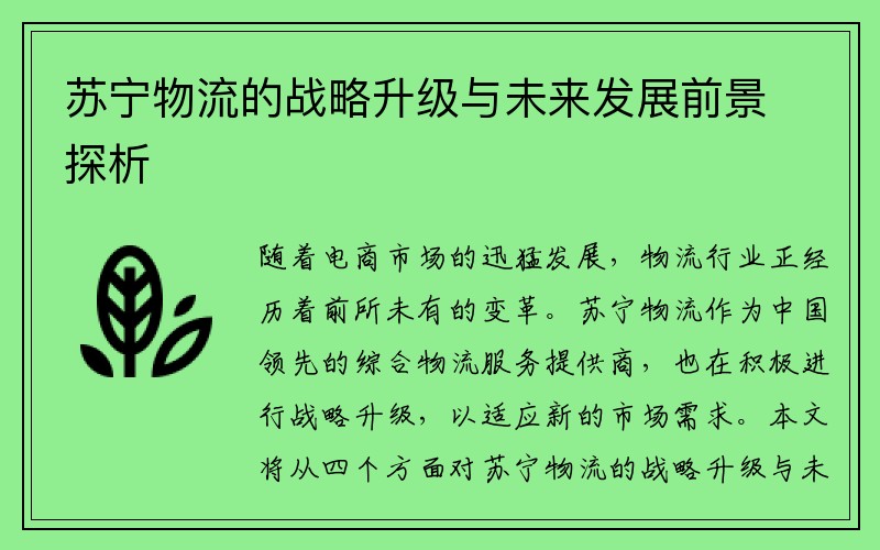 苏宁物流的战略升级与未来发展前景探析