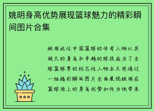 姚明身高优势展现篮球魅力的精彩瞬间图片合集