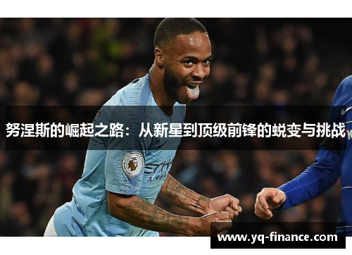 努涅斯的崛起之路：从新星到顶级前锋的蜕变与挑战