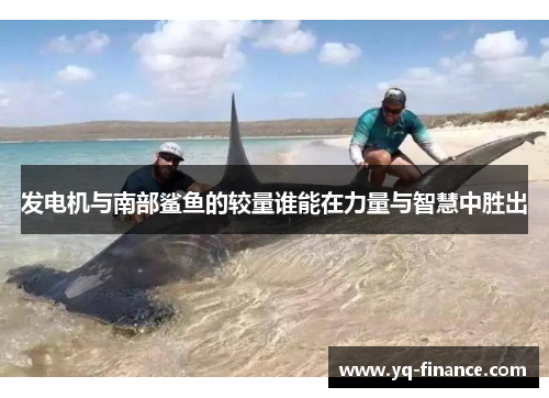 发电机与南部鲨鱼的较量谁能在力量与智慧中胜出